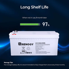Renogy Deep Cycle AGM Battery 12V 200Ah – 2 Pack – RNG-BATT-AGM12-200x2-US