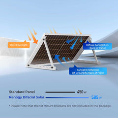 Renogy Bifacial 450W Monocrystalline Solar Panel – 2 Pack – RSP450DT-120x2
