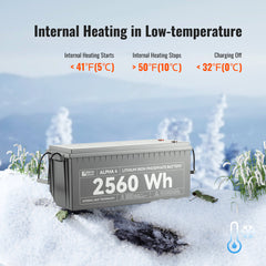 Rich Solar Alpha-4 24V 100Ah LiFePO₄ Battery – RS-B241S