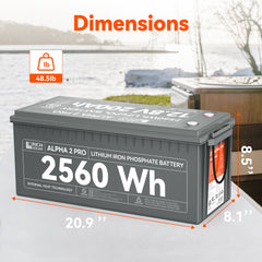 Rich Solar Alpha-2 Pro 12V 200Ah LiFePO₄ Battery – RS-B122SP
