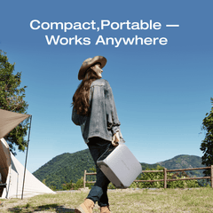 EcoFlow DELTA 3 Classic Portable Power Station with 220W Solar Panel – D3C-220W